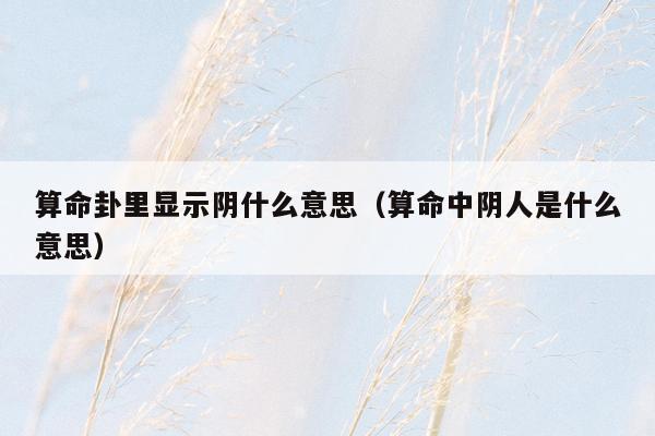 算命卦里显示阴什么意思（算命中阴人是什么意思）