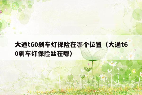 大通t60刹车灯保险在哪个位置（大通t60刹车灯保险丝在哪）
