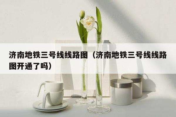 济南地铁三号线线路图（济南地铁三号线线路图开通了吗）