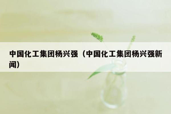 中国化工集团杨兴强（中国化工集团杨兴强新闻）