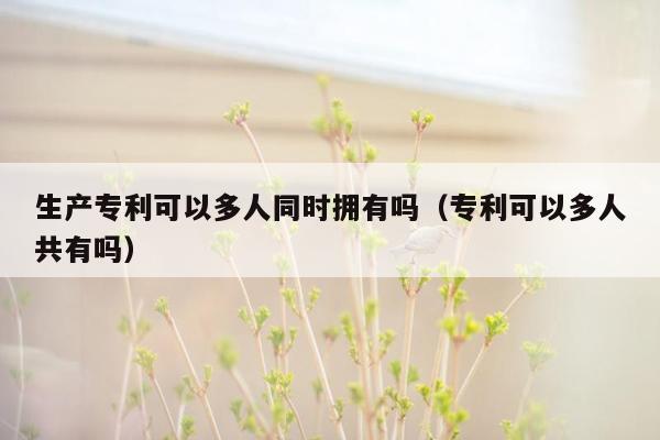 生产专利可以多人同时拥有吗（专利可以多人共有吗）