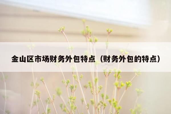 金山区市场财务外包特点（财务外包的特点）