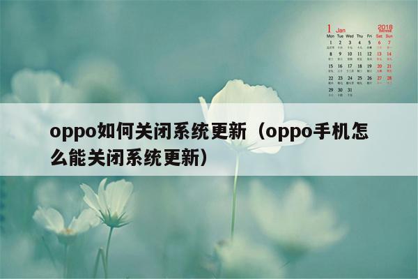oppo如何关闭系统更新（oppo手机怎么能关闭系统更新）