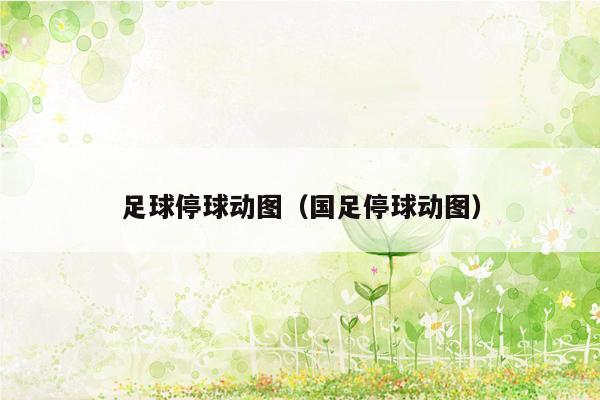 足球停球动图（国足停球动图）