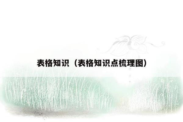 表格知识（表格知识点梳理图）