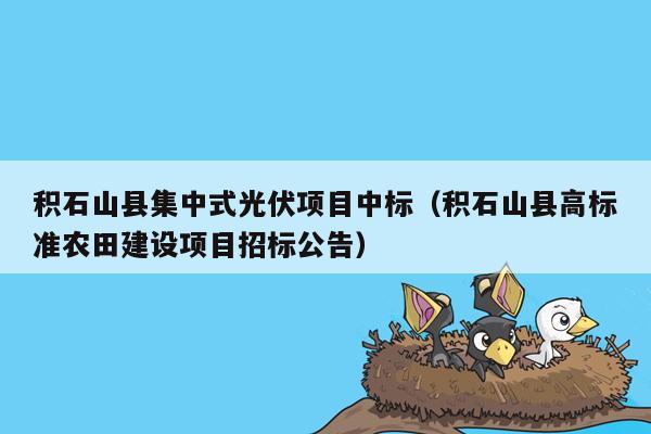 积石山县集中式光伏项目中标（积石山县高标准农田建设项目招标公告）