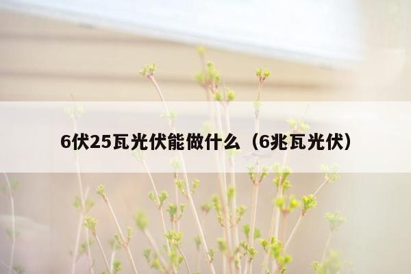 6伏25瓦光伏能做什么（6兆瓦光伏）