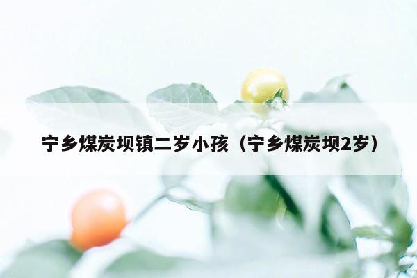 宁乡煤炭坝镇二岁小孩（宁乡煤炭坝2岁）
