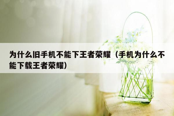 为什么旧手机不能下王者荣耀（手机为什么不能下载王者荣耀）