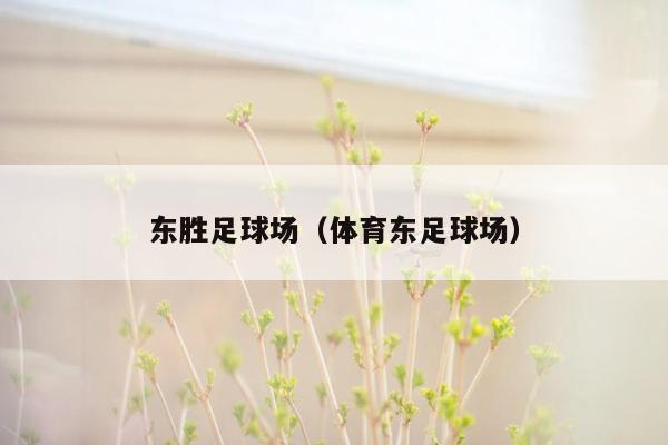 东胜足球场（体育东足球场）