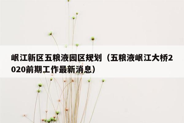 岷江新区五粮液园区规划（五粮液岷江大桥2020前期工作最新消息）