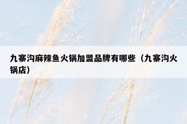 九寨沟麻辣鱼火锅加盟品牌有哪些（九寨沟火锅店）