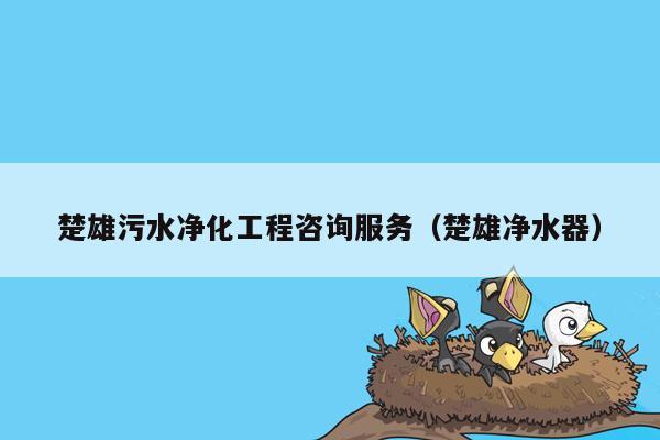 楚雄污水净化工程咨询服务（楚雄净水器）