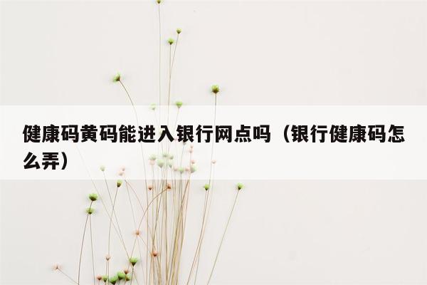 健康码黄码能进入银行网点吗（银行健康码怎么弄）
