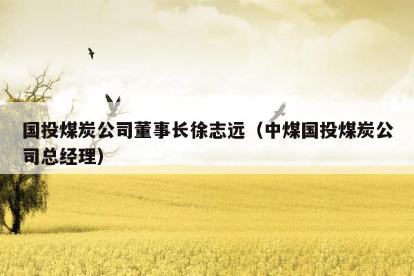 国投煤炭公司董事长徐志远（中煤国投煤炭公司总经理）