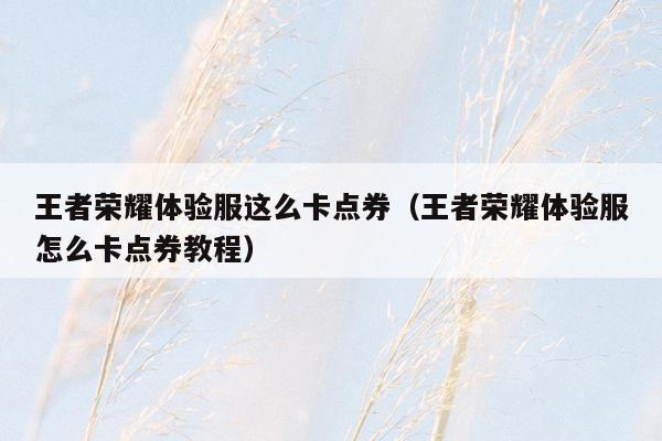 王者荣耀体验服这么卡点券（王者荣耀体验服怎么卡点券教程）
