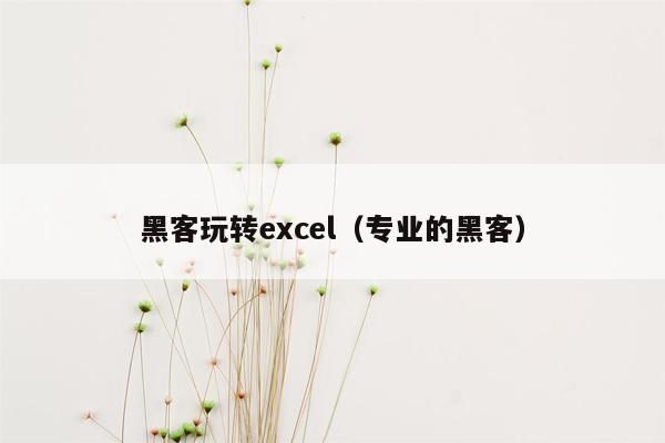黑客玩转excel（专业的黑客）