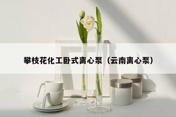 攀枝花化工卧式离心泵（云南离心泵）