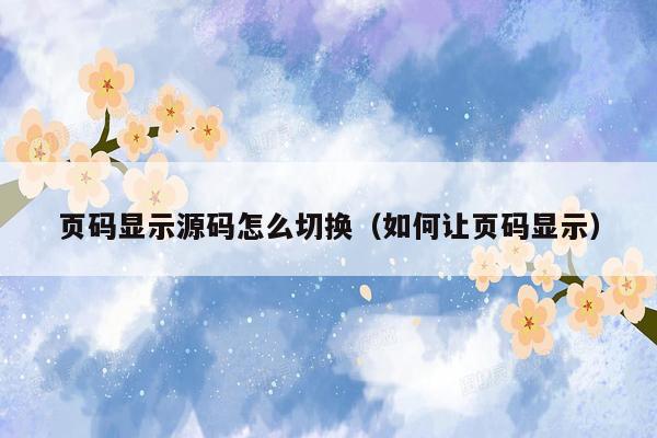 页码显示源码怎么切换（如何让页码显示）