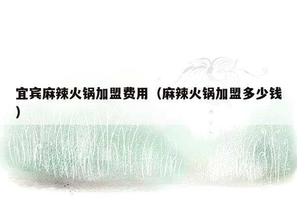 宜宾麻辣火锅加盟费用（麻辣火锅加盟多少钱）