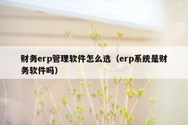 财务erp管理软件怎么选（erp系统是财务软件吗）