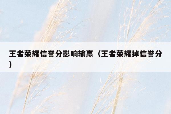 王者荣耀信誉分影响输赢（王者荣耀掉信誉分）