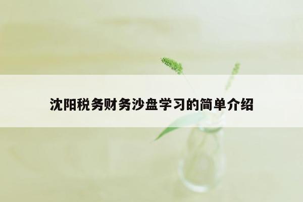 沈阳税务财务沙盘学习的简单介绍