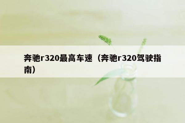 奔驰r320最高车速（奔驰r320驾驶指南）