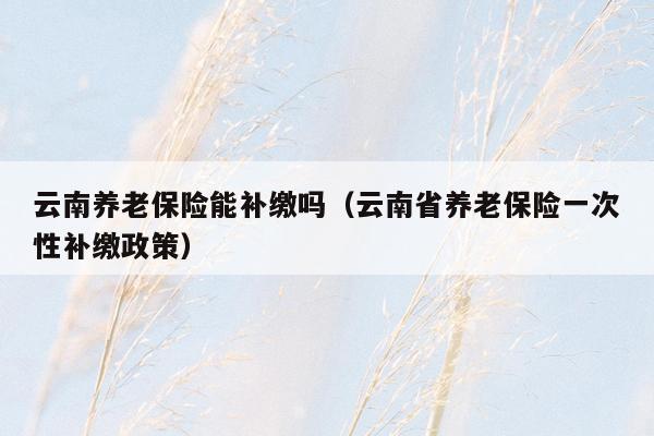 云南养老保险能补缴吗（云南省养老保险一次性补缴政策）