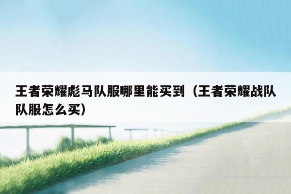 王者荣耀彪马队服哪里能买到（王者荣耀战队队服怎么买）