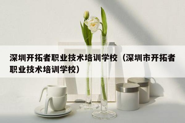 深圳开拓者职业技术培训学校（深圳市开拓者职业技术培训学校）