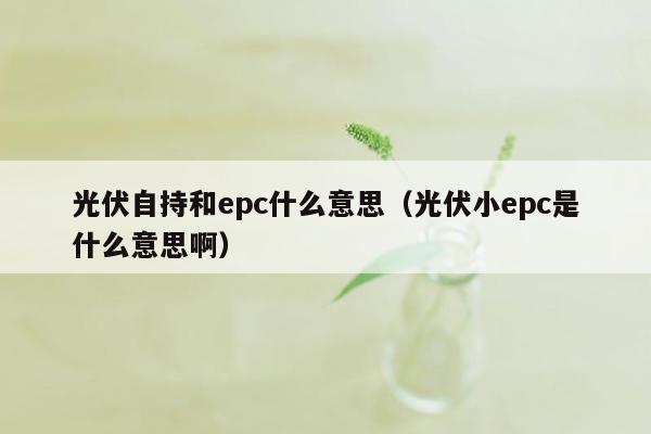 光伏自持和epc什么意思（光伏小epc是什么意思啊）