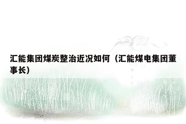 汇能集团煤炭整治近况如何（汇能煤电集团董事长）