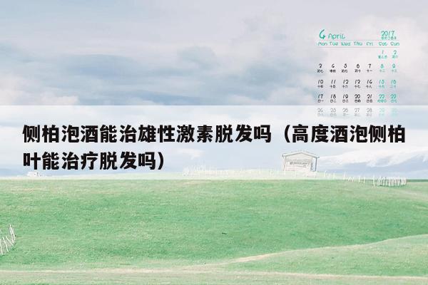 侧柏泡酒能治雄性激素脱发吗（高度酒泡侧柏叶能治疗脱发吗）