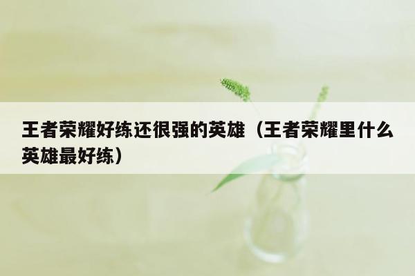 王者荣耀好练还很强的英雄（王者荣耀里什么英雄最好练）