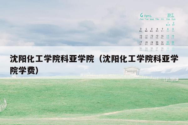 沈阳化工学院科亚学院（沈阳化工学院科亚学院学费）
