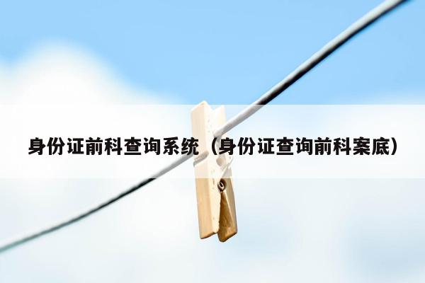 身份证前科查询系统（身份证查询前科案底）