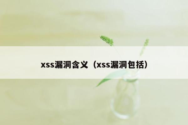 xss漏洞含义（xss漏洞包括）