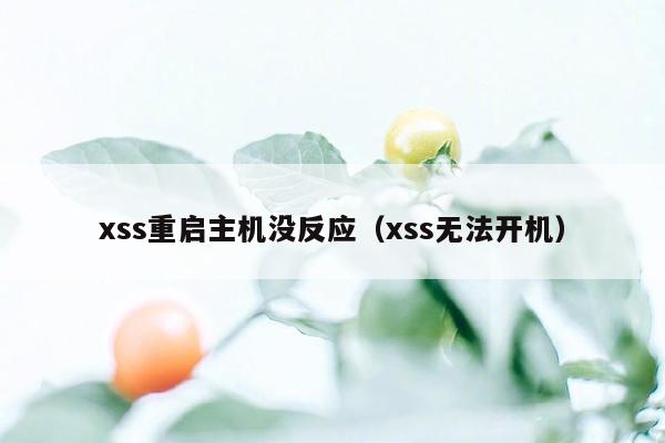 xss重启主机没反应（xss无法开机）