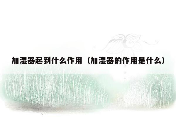 加湿器起到什么作用（加湿器的作用是什么）