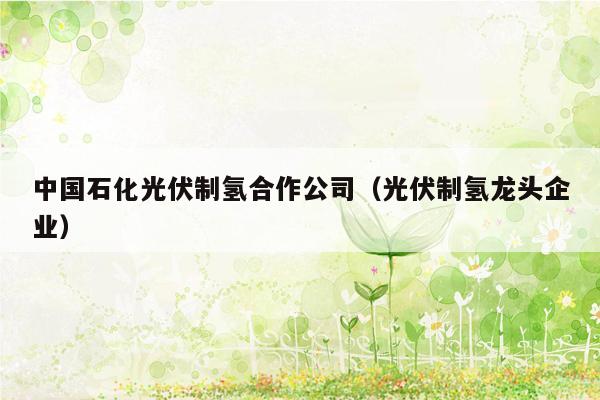 中国石化光伏制氢合作公司（光伏制氢龙头企业）