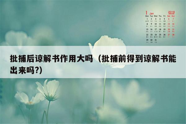 批捕后谅解书作用大吗（批捕前得到谅解书能出来吗?）