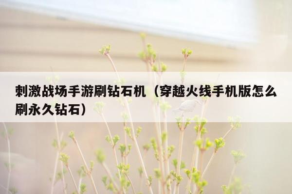 刺激战场手游刷钻石机（穿越火线手机版怎么刷永久钻石）