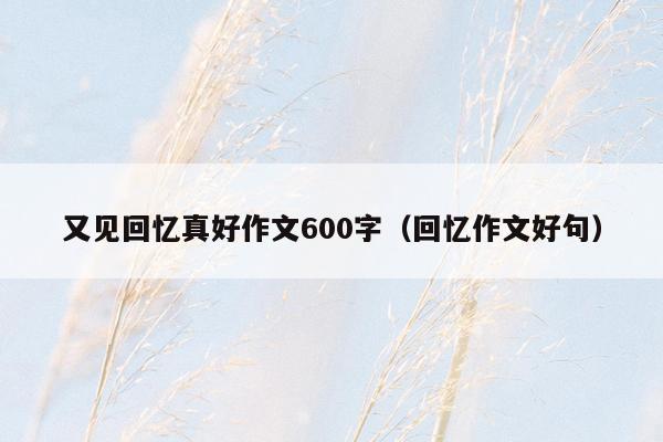 又见回忆真好作文600字（回忆作文好句）