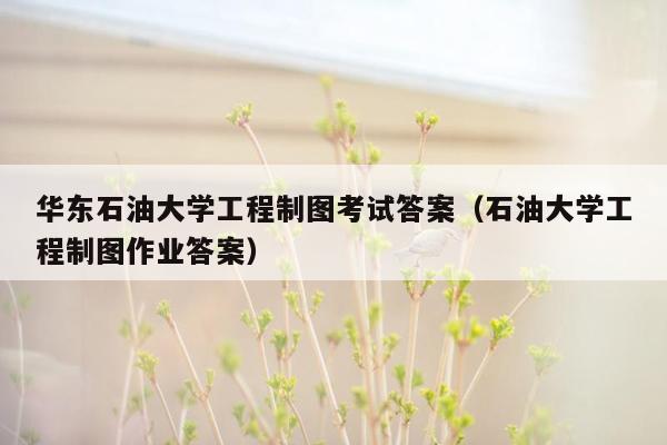 华东石油大学工程制图考试答案（石油大学工程制图作业答案）