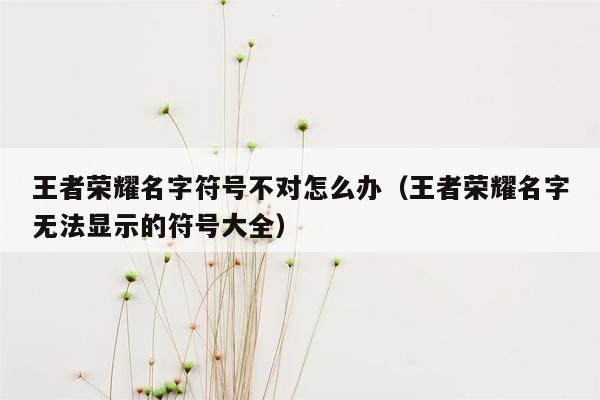 王者荣耀名字符号不对怎么办（王者荣耀名字无法显示的符号大全）