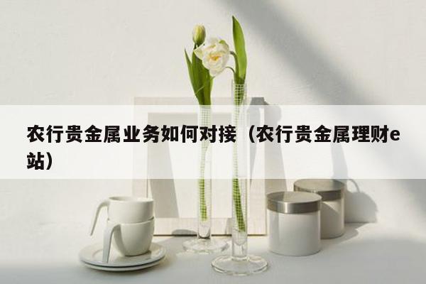 农行贵金属业务如何对接（农行贵金属理财e站）