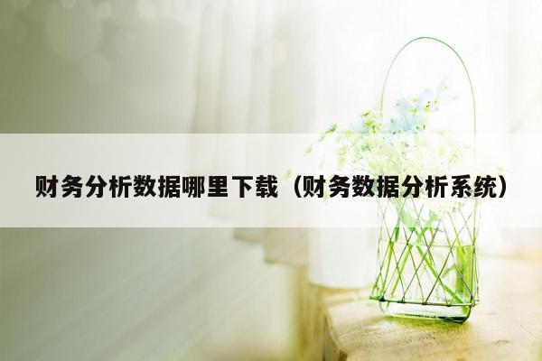 财务分析数据哪里下载（财务数据分析系统）