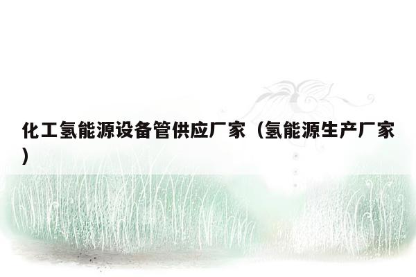 化工氢能源设备管供应厂家（氢能源生产厂家）