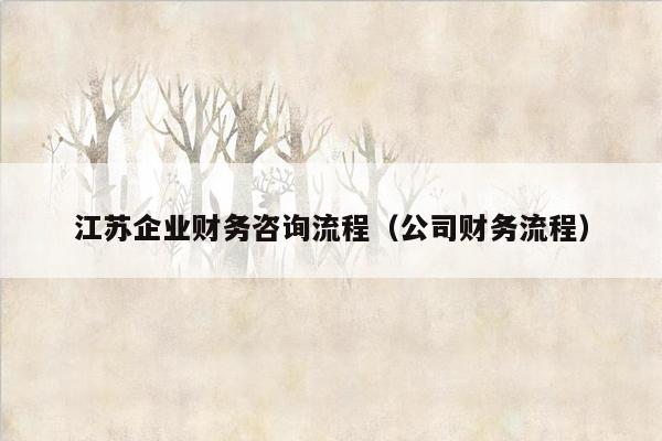 江苏企业财务咨询流程（公司财务流程）